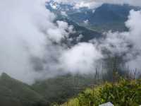 Doi Pha Tang: Hidden gem in northern Thailand