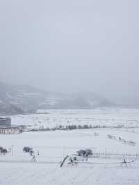 心中的日月：香格里拉納帕海草原的雪後