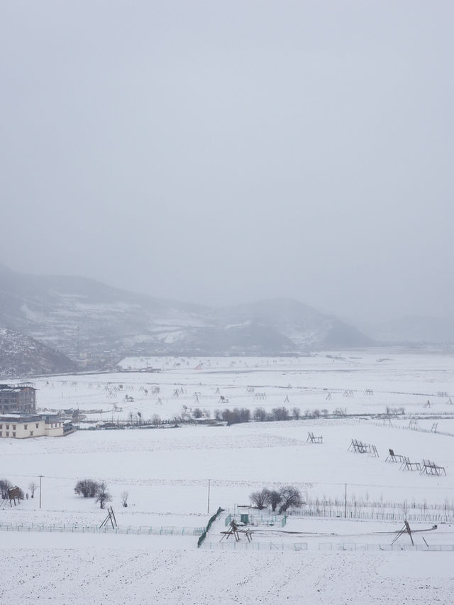 心中的日月：香格里拉納帕海草原的雪後