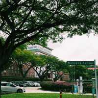 Nanyang Technological University: Where Innovation Meets Nature