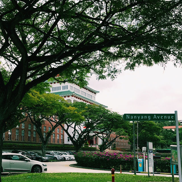 Nanyang Technological University: Where Innovation Meets Nature