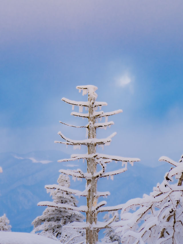 한국에 있는 진정한 겨울왕국 ❄️