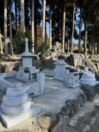 【熊本旅行】金運祈願🙏白蛇様参拝ができる神社⛩