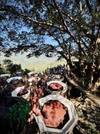 ☕️給你滿滿的能量，一起在樹蔭下Chill一下！🌳☀️