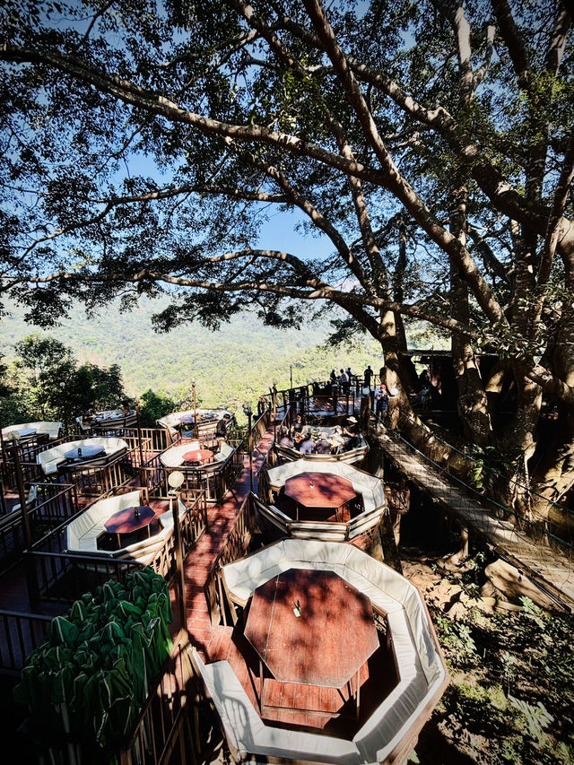 ☕️給你滿滿的能量，一起在樹蔭下Chill一下！🌳☀️