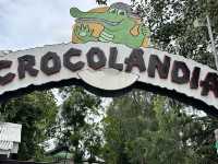 たくさんのワニに出会える🤍【Crocolandia】