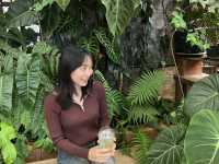 อะคิปุ คาเฟ่เวียงแหง 
