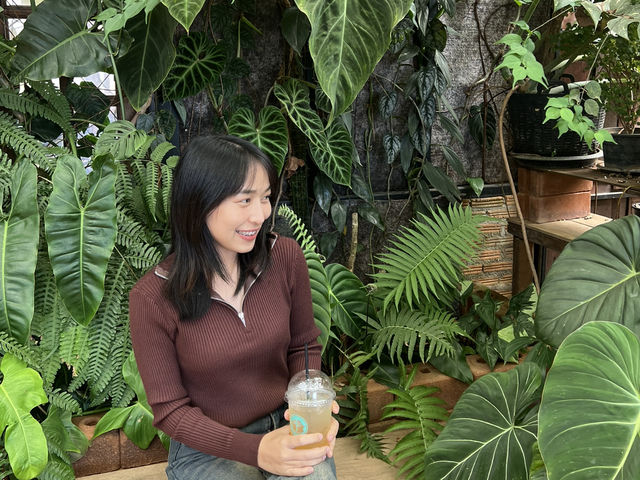 อะคิปุ คาเฟ่เวียงแหง 