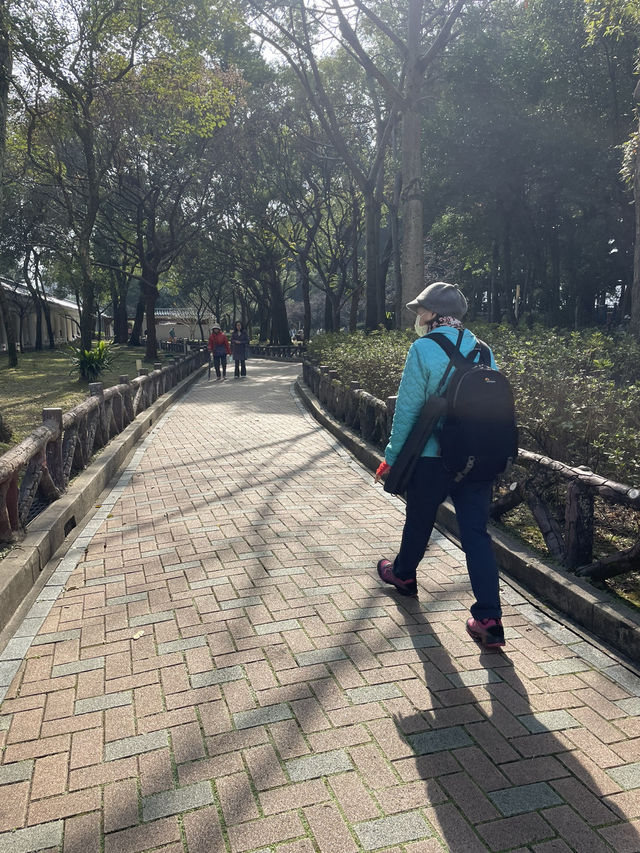 A Walk Around Chiang Kai-shek Memorial Hall Park 🚶‍♂️🌿