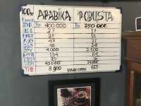 【ボロブドゥール】パオンルワックコーヒー訪問レポ