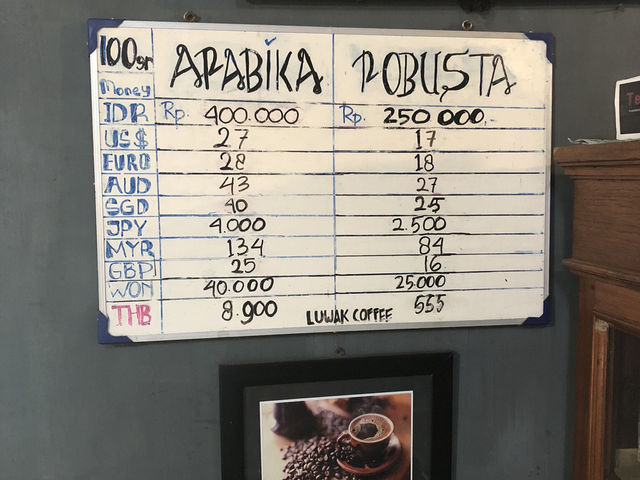 【ボロブドゥール】パオンルワックコーヒー訪問レポ