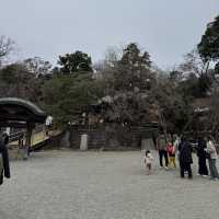 毎年3月上旬に行われる「厄除元三大師大祭」でも有名な深大寺⛩🌿