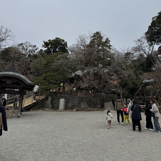 毎年3月上旬に行われる「厄除元三大師大祭」でも有名な深大寺⛩🌿