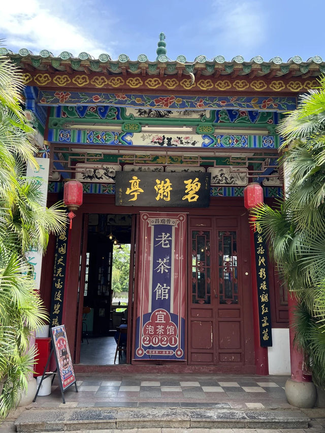 📍Map cha普洱茶館｜藏在翠湖公園的神仙茶館