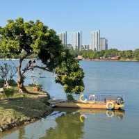 🌳 翠湖文體公園 🚴‍♀️ 隱秘天堂 🚴‍♀️  