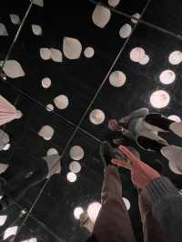 Fun visual Arte museum 