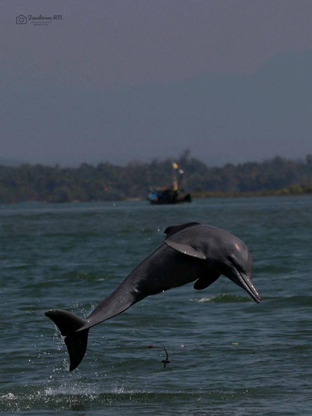 Evergreen Adventure Kundapura, located in Karnataka, India, offers a variety of boating experiences 