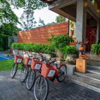 พราวภูฟ้า เมืองเชียงใหม่