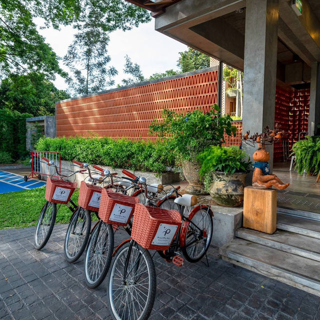 พราวภูฟ้า เมืองเชียงใหม่