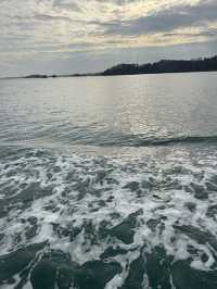 【仙台】松島島巡り