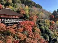 Kiyomizu-dera จุดชมใบไม้เปลี่ยนสีโด่งดังในญี่ปุ่น