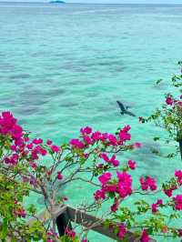 Kapalai: Peaceful Retreat in Paradise