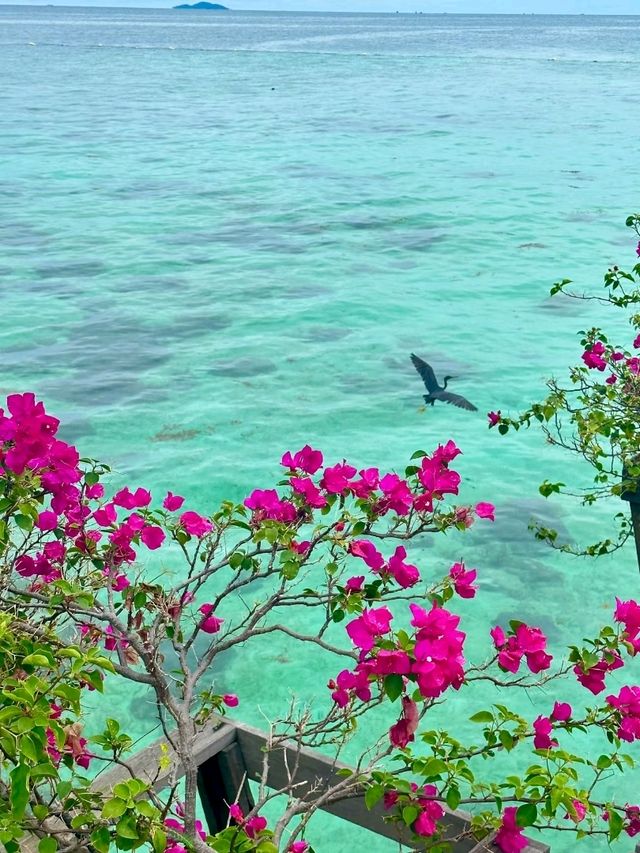 Kapalai: Peaceful Retreat in Paradise