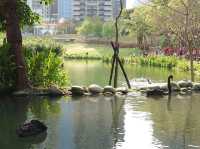 秋紅谷景觀生態公園
