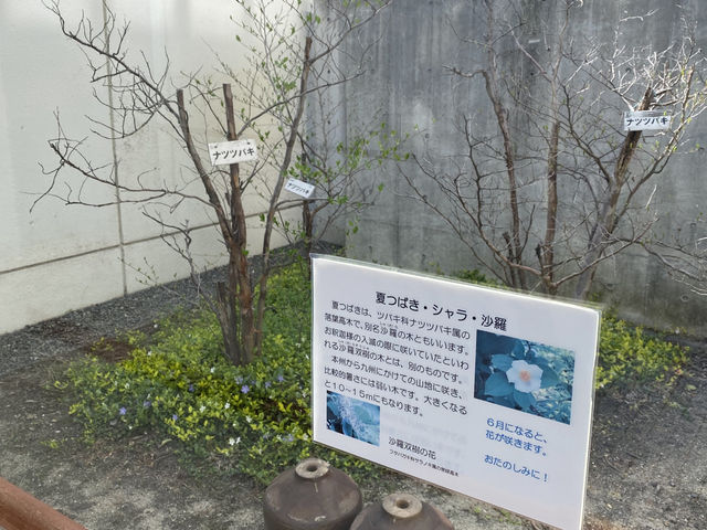 知多半島の旅　知多歴史民族博物館
