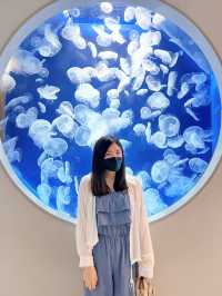 桃園 Xpark水族館 