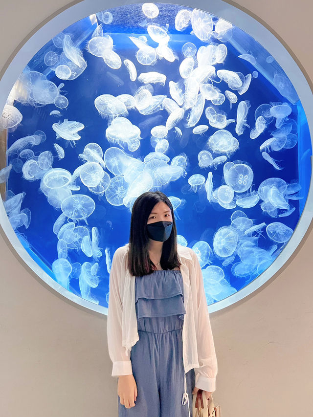 桃園 Xpark水族館 