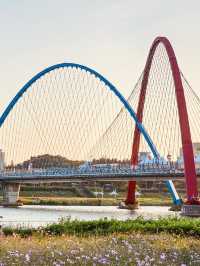 Spring's Urban View: Expo Bridge by Day