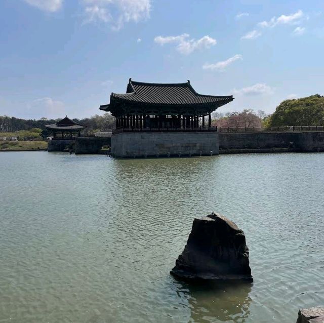 Donggung Palace and Wolji Pond, Gyeongju (#WoljiPondCherryBlossom)