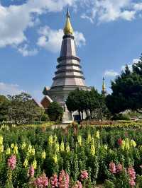 【花と歴史が織りなす美しき仏塔】Twin Pagodasナパメートニドン＆ナパポンプミスリ