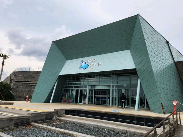 제주 비오는날 가기 좋은 아쿠아플라넷 성산