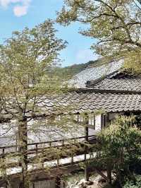 Spring Getaway: Ohara Sanzen-in Temple🌸