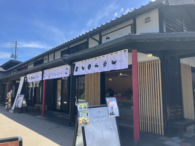 【神々のふるさと】出雲大社 ⛩🌿✨