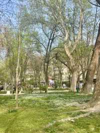 Park V Tashkent - A hidden Gem