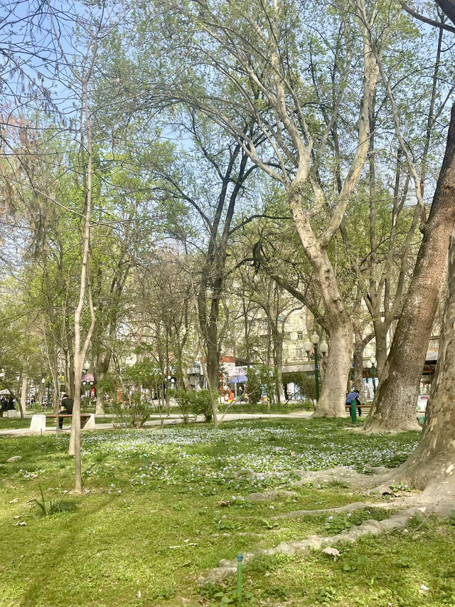 Park V Tashkent - A hidden Gem