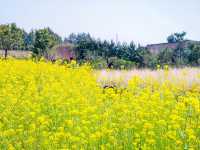 Hueree Flower Festival