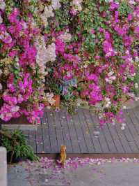In Guangzhou, spring always spills its paint palette onto the pages of the past.