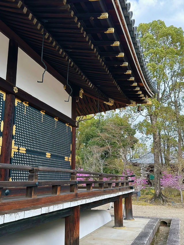 心がふわりとほどける時間。任和寺で出会うバイオリンと仏の響き