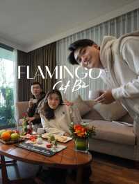 A Cozy Winter Getaway at Flamingo Cat Ba Resort