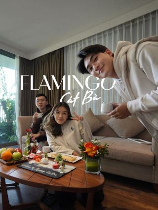 A Cozy Winter Getaway at Flamingo Cat Ba Resort