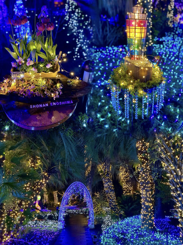 限定！神奈川江之島超浪漫燈光✨
