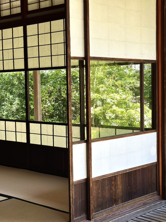 【金沢×日本庭園】21世紀美術館内に移築された日本庭園