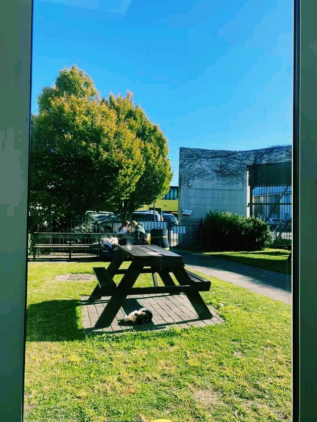新西蘭著名旅遊小鎮蒂卡波的旅行攻略，適合打卡拍照📸