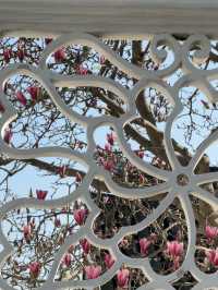 A Spring Stroll Through Master-of-Nets Garden