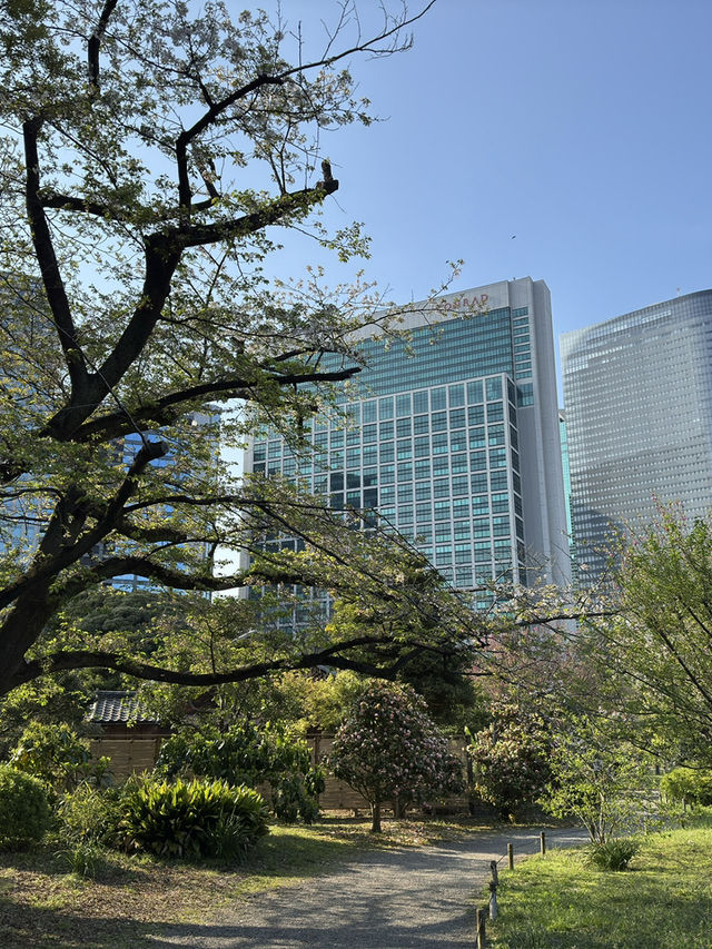 東京景點｜濱離宮恩賜庭園 