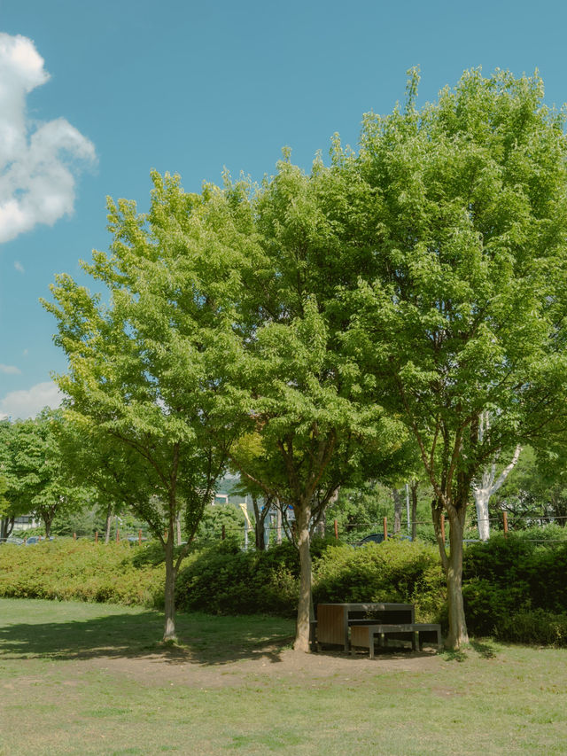 잠깐 머물다 가기 좋은 초록 쉼터🌿☁️